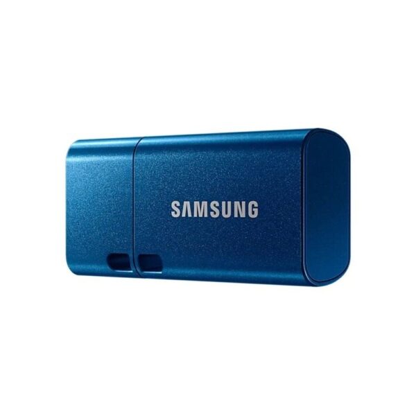 Samsung USB Type-C 256GB 400MB/s USB 3.1 Flash Drive (MUF-256DA/APC)