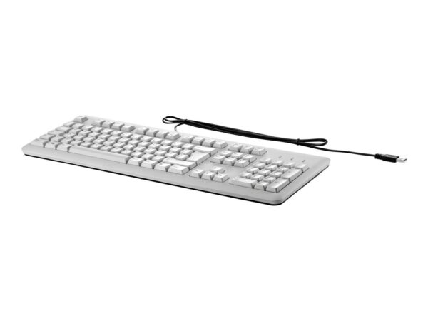 HP USB (Grey) Keyboard (de)