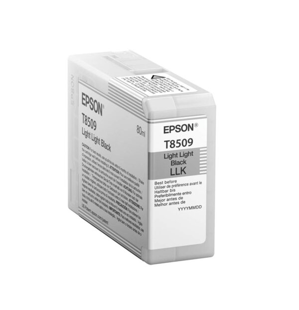 Epson Light Light Black Ink Cartridge C13T850900