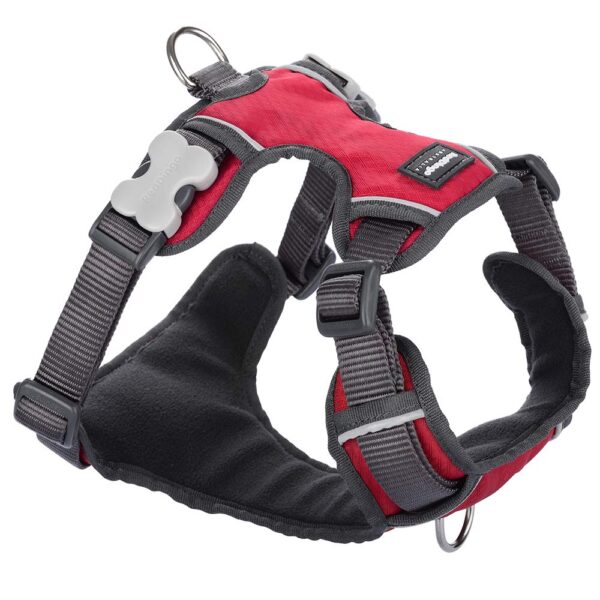 Red Dingo Padded Dog Harness Plain, Red, Large 25mm