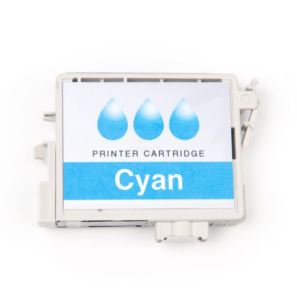 Ricoh Reinigungskartusche cyan Type 1 (257051) Ri 100