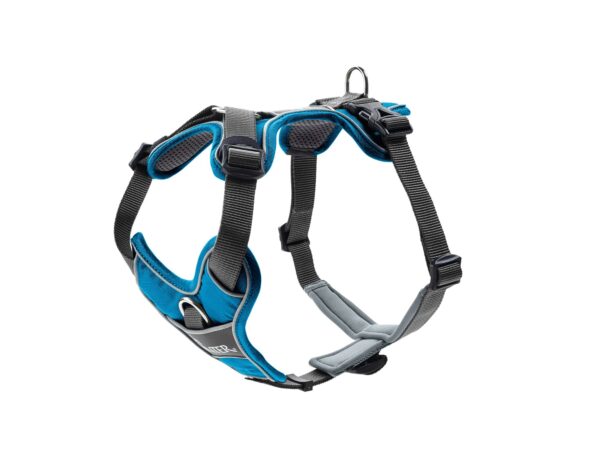 HUNTER DIVO Dog Harness, S-M, 52-68 cm, Light Blue/Grey