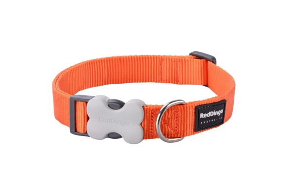 Red Dingo Bucklebone Dog Collar Plain, Orange, Medium 20mm