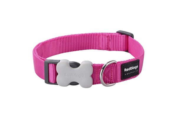 Red Dingo Bucklebone Dog Collar Plain, Hot Pink, X-Small 12mm