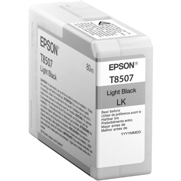 Epson Light Black Ink Cartridge C13T850700