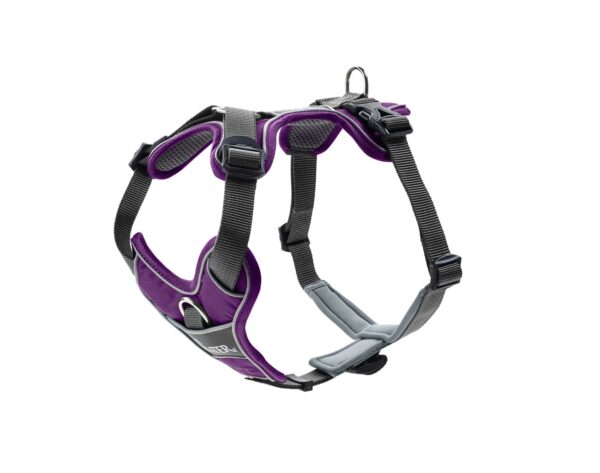 HUNTER Divo Dog Harness, S-M, 52-68 cm, Purple/Grey