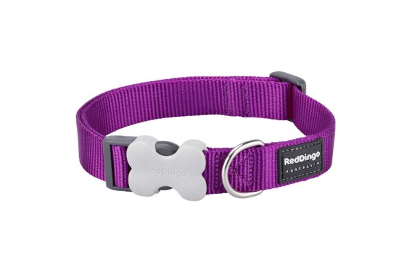 Red Dingo Bucklebone Dog Collar Plain, Purple, Medium 20mm