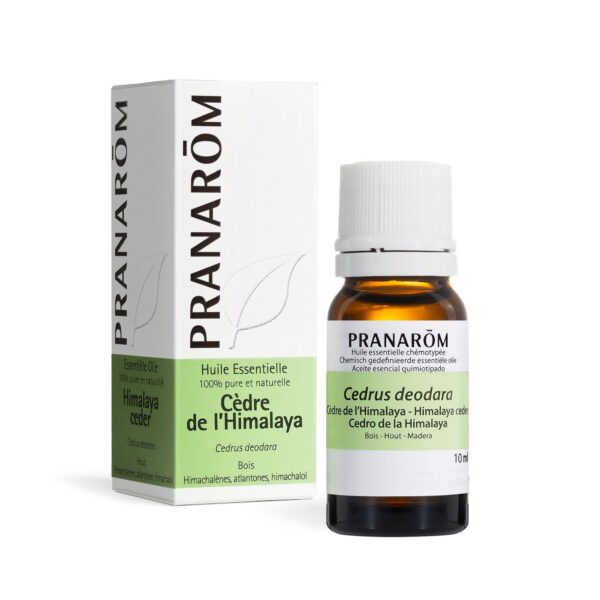 Pranarôm Essential Oil Himalaya Cedar (Cedrus deodara) 10 ml