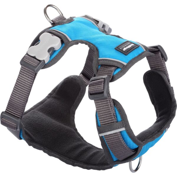 Red Dingo Padded Dog Harness Plain, Turquoise, Small 12mm