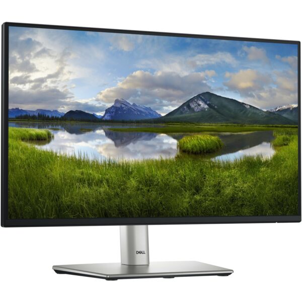 Dell P2225H skaerm - LED baglys - 2