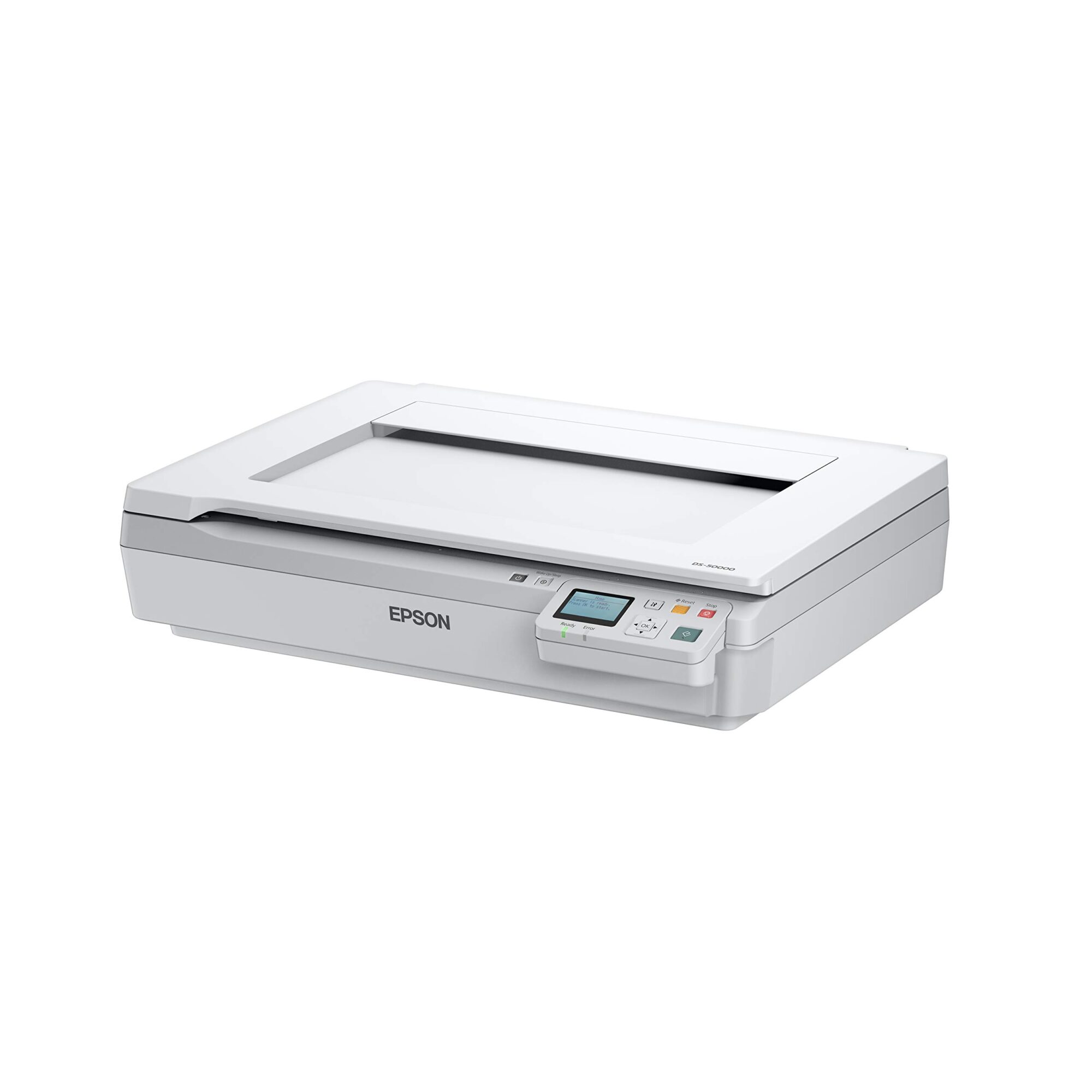 EPSON 408693 - Desk Photo Scanner c?ner fotogr?fico A3 size